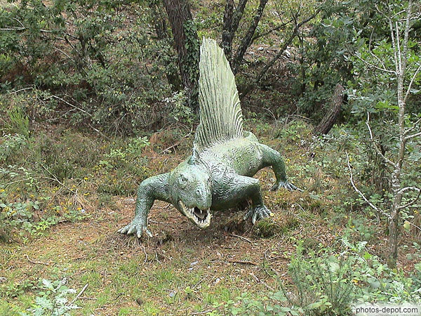 Dimetrodon photo