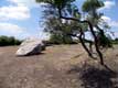 Grand menhir bris�, 18 autres pierres dress�es et align�es le pr�c�daient sur 55m au nord.