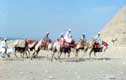 Colonne de chameliers / Egypte