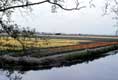 Champs de tulipes / Hollande, Keukenhof