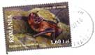 Timbre Romania Liliacul mare de amurg, Nyctalus lasiopterus 1,60 Lei / Roumanie