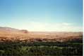 Immense oasis, Erfoud est situ�e au coeur du Tafilalet, berceau de la dynastie Alaouite / Maroc, Erfoud