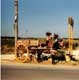 �ne et charette d�cor�s / Sicile, Marsala