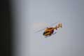 H�licopt�re de la s�curit� civile