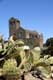 Abbaye derri�re les cactus