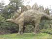 StÃ©gosaure